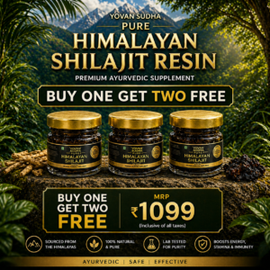 Himalayan Shilajit Resin Buy One Get Two Free By Yovan Sudha